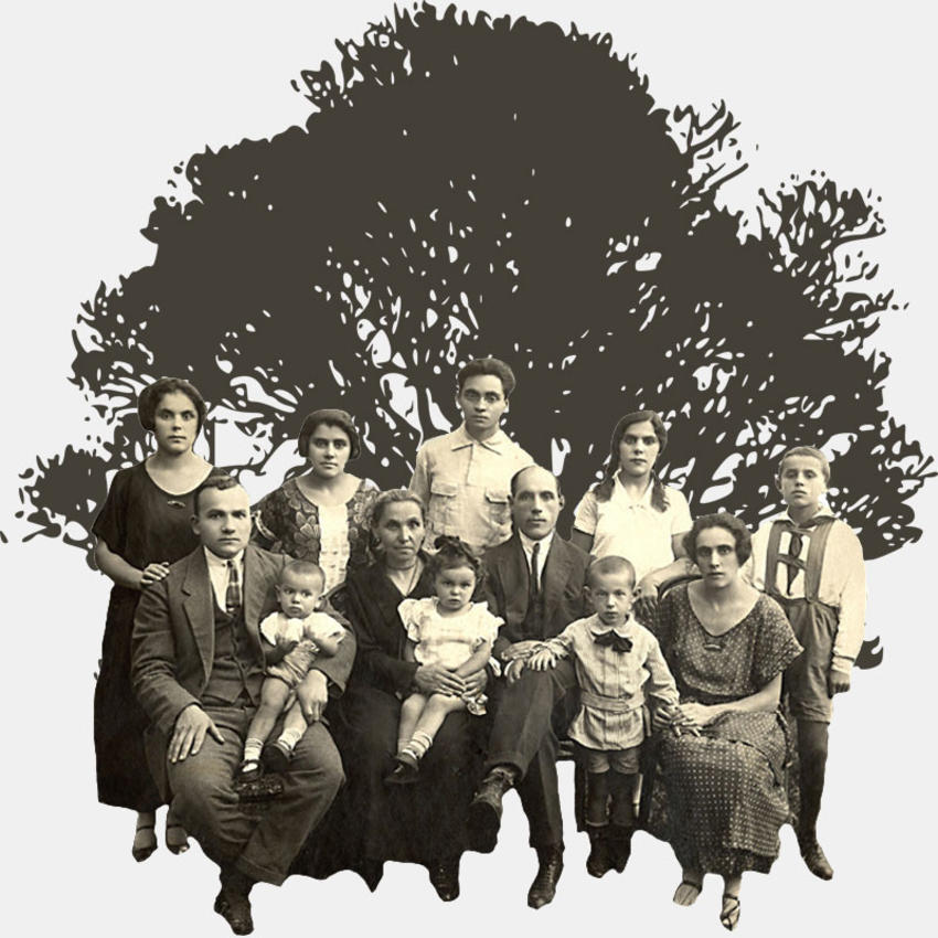 FAMILY TREE